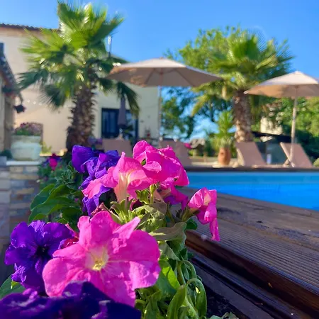 Bed And Adventure Tramontana Resort - Casetta & Wellness Castilenti Exterior photo