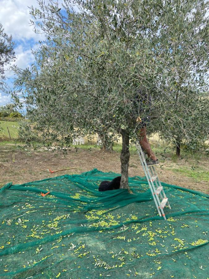 Holiday home Bed And Adventure Tramontana - Casetta & Wellness *