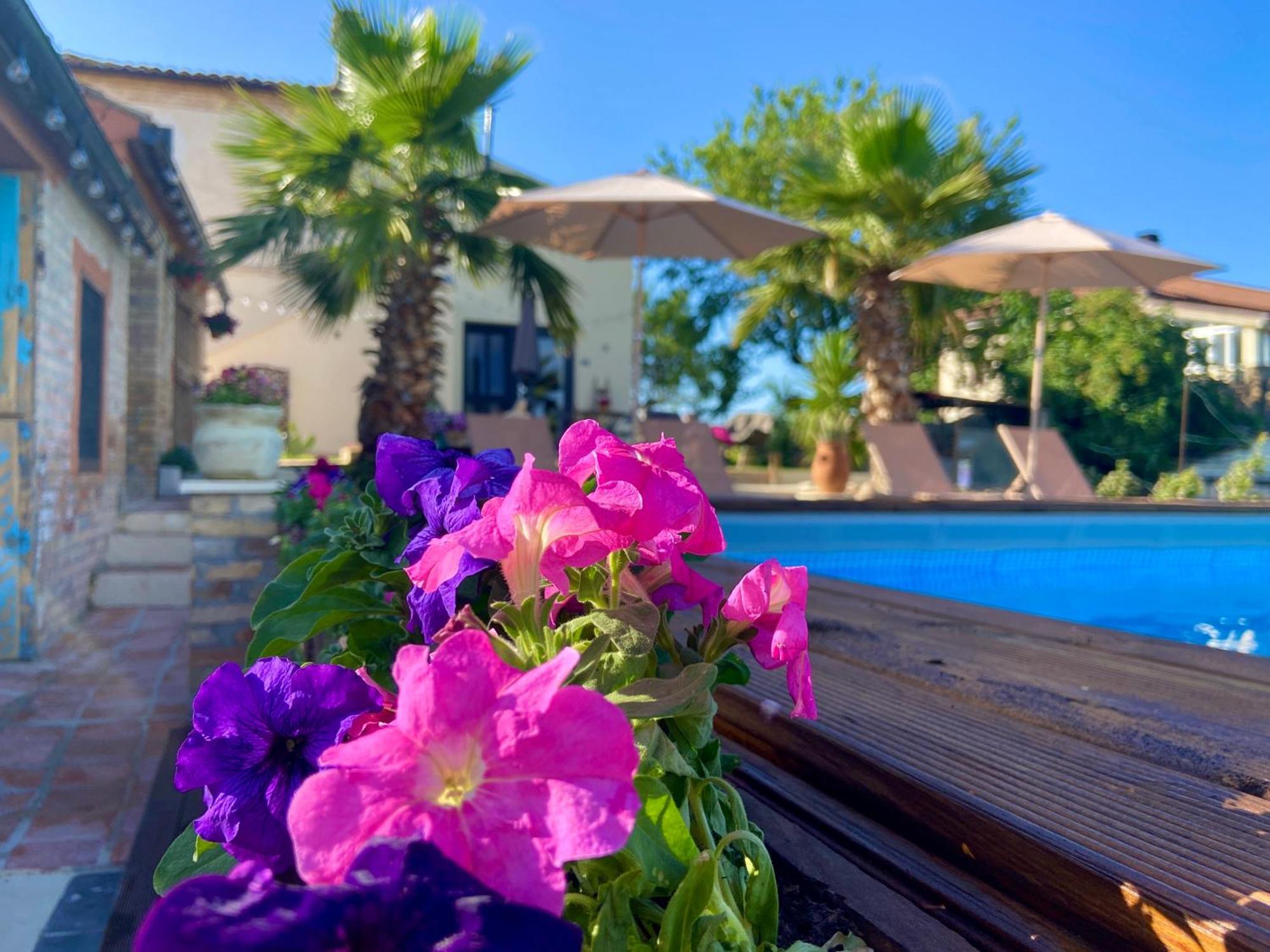 Bed And Adventure Tramontana - Casetta & Wellness *